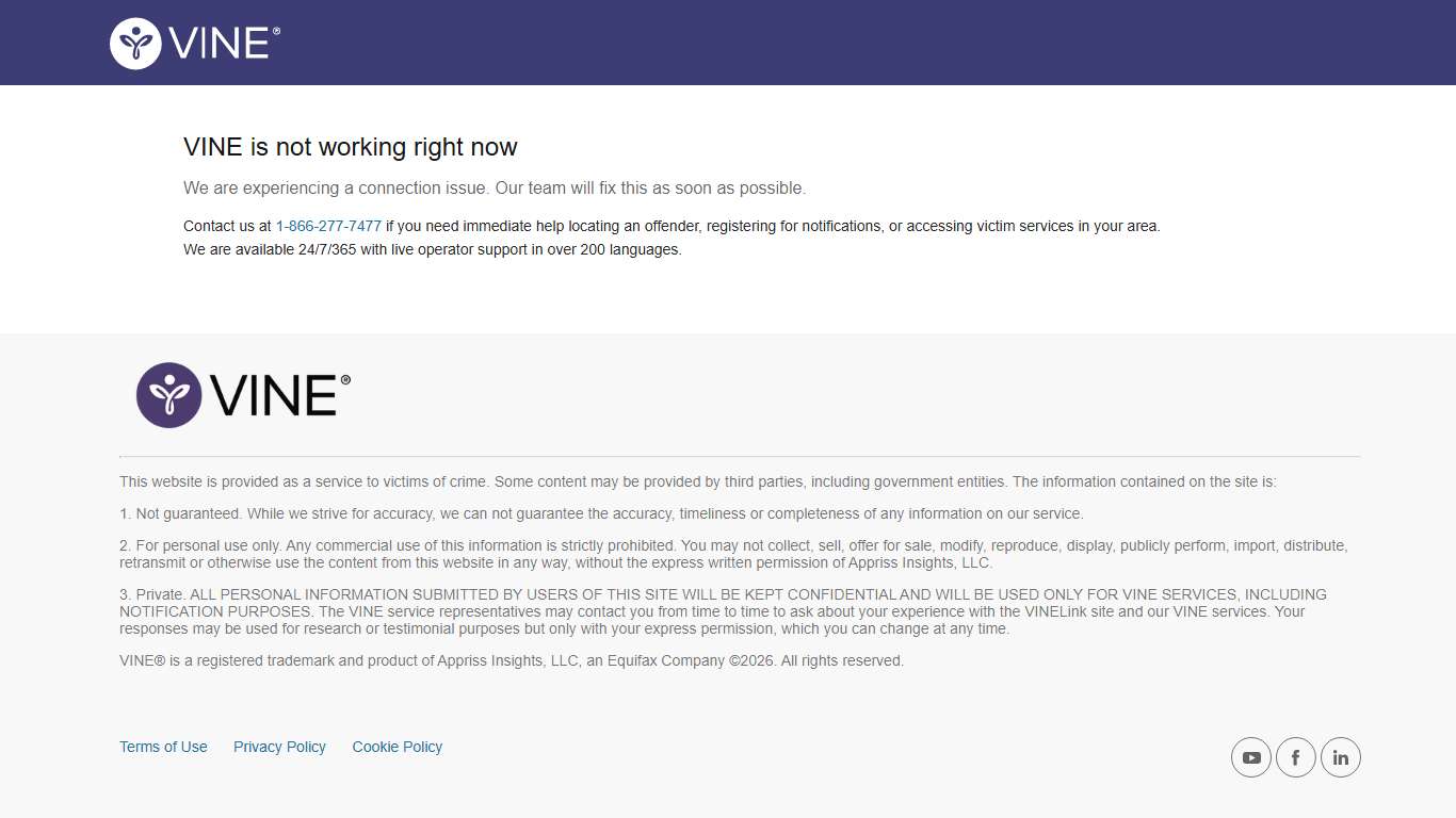 VINE is not working right now
